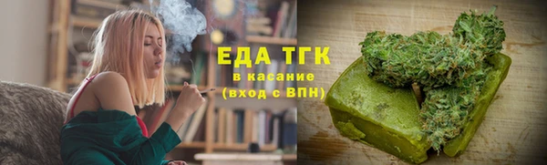 трава Корсаков