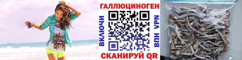 Купить закладки  Вилюйск  Псилоцибиновые грибы Magic Shrooms 
